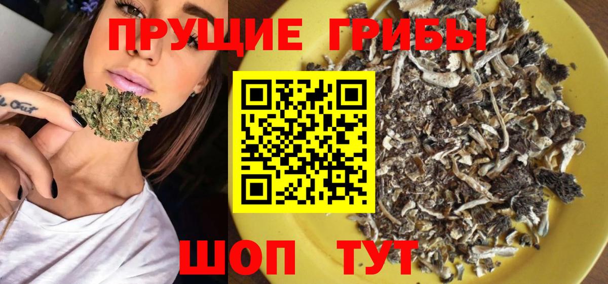 Галлюциногенные грибы мицелий Нижний Тагил
