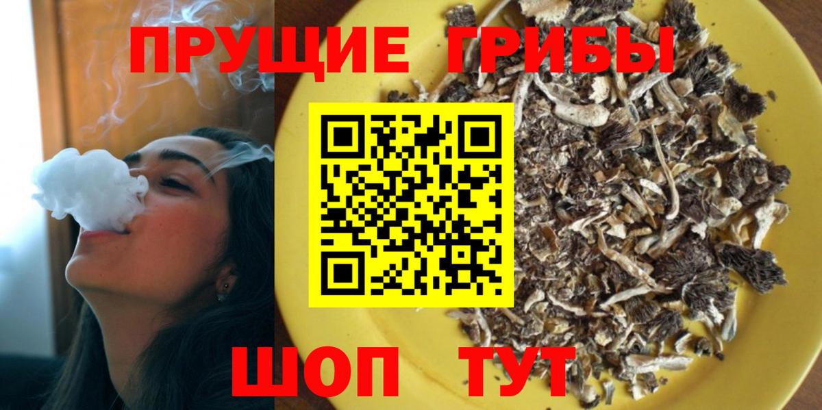 Псилоцибиновые грибы Cubensis  Вход с VPN  Нижний Тагил 